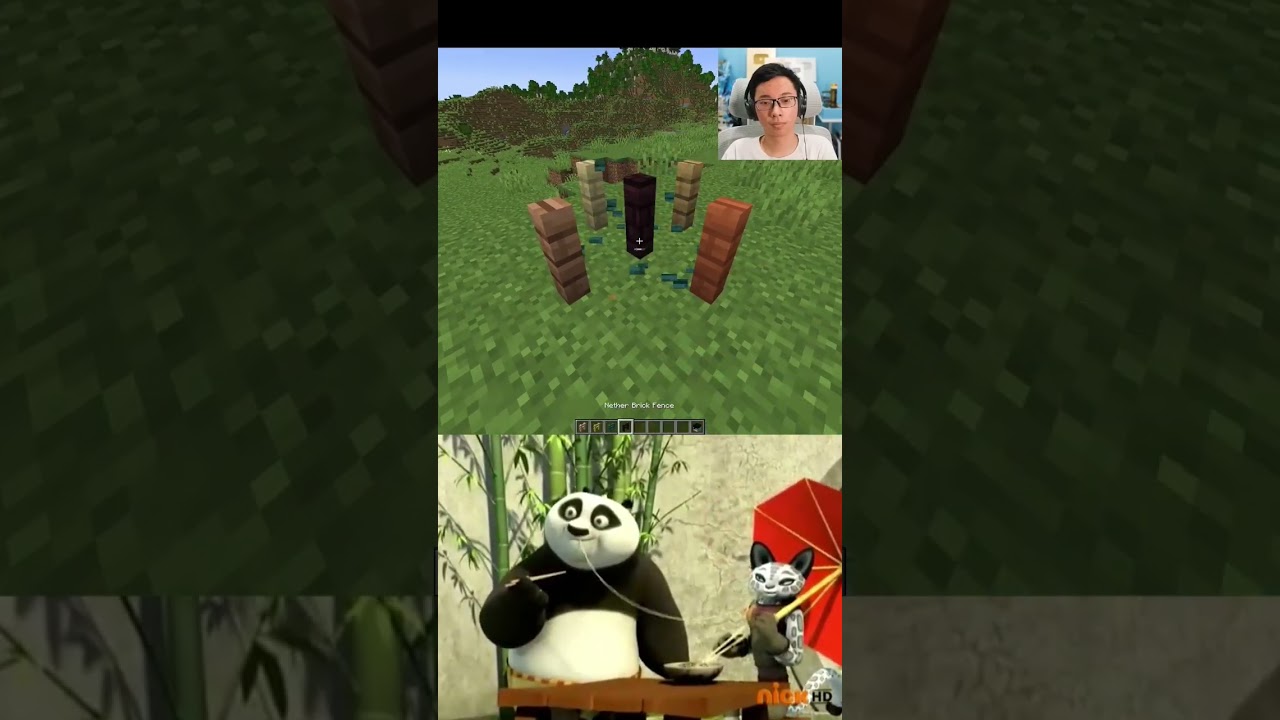 Minecraft Fence Moment