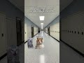 Mr.Cat friend has bad temper #cat #catstory #funny #memes #pov #catlaughs #catworld #classicmeme