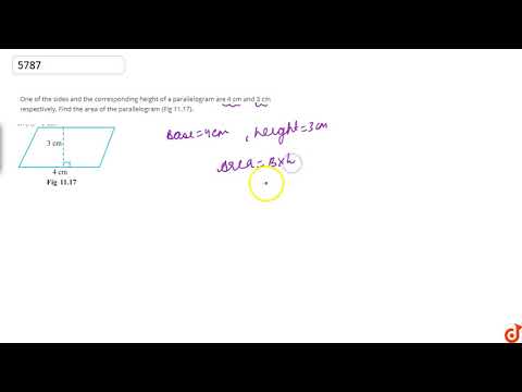Videó: Mekkora a paralelogramma megfelelő magassága?