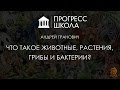 Андрей Гранович — Что такое животные, растения, грибы и бактерии?