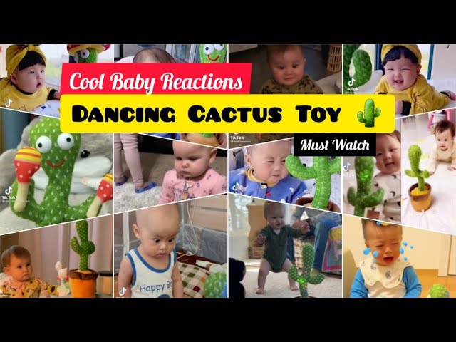 SHOP-STORY - CACTUS GRINGO - Peluche Cactus qui Danse, Chante et