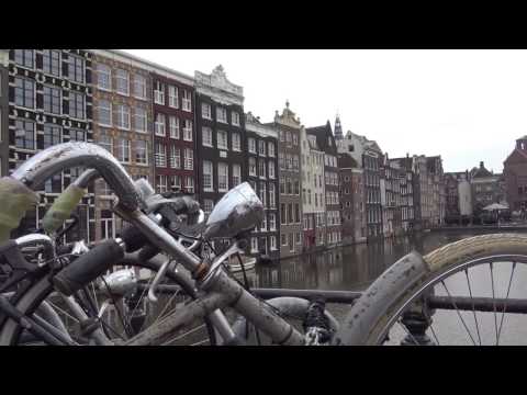 Video: 7 Kavarn V Amsterdamu, Ki Jih Je Dobro Obiskati - Matador Network