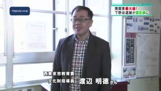 西東京市　南関東最大級！下野谷遺跡が国史跡に