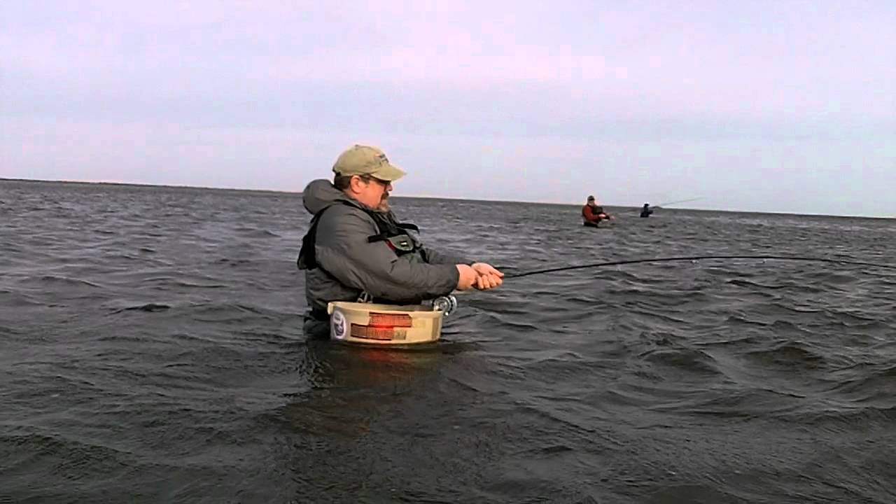 Housatonic Striper 42412 caught by Bear Cochrane 001.MOV YouTube