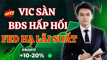 Cảnh Báo: FED Hạ Lãi Suất- Thị Trường Bùng Nổ. Top Các Cổ Phiếu Đang Được Cá Mập Vào Hàng!