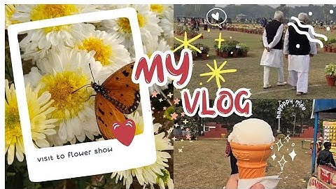 My first vlog #vlog #vlogs #vlogging #vlogvideo #aligarh  #amu #flowers#viral #reels #india #korean 
