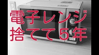 電子レンジを捨てて５年。不便さなんて１ミリも感じません