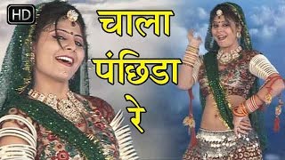 राजस्थानी सुपरहिट सांग 2016 - चाल पंछिड़ा रे - Super Hit Songs 2016 Rajasthani