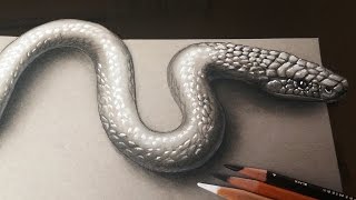 How to Draw a Realistic 3D Snake - 3D Art Kids and Adults