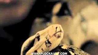 Waka Flocka Flame - Snakes In The Grass (Official Video)