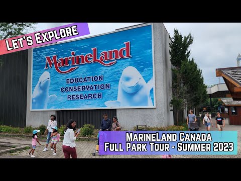 MarineLand Uncovered : Dive into the Full Park Walkthrough and Review