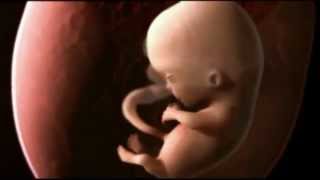 видео Что происходит с телом женщины после родов