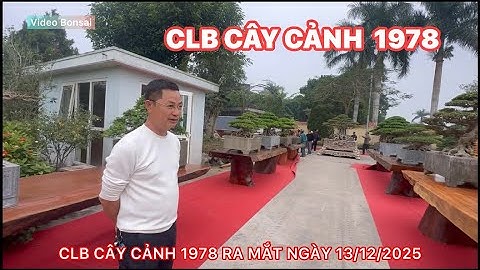 TOÀN CẢNH CLB CÂY CẢNH 1978 ĐANG NHẬN VÀ KÊ CÂY TẠI: P DUY TIÊN - NINH BÌNH ( Duy Tiên - Hà Nam cũ )