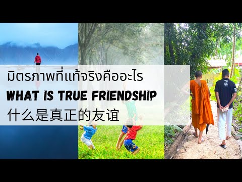 วีดีโอ: มิตรภาพที่แท้จริงคืออะไร