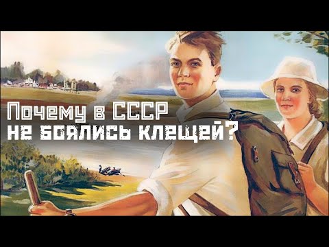Видео: КЛЕЩИ: в СССР не было клещей? / туризм, вакцины, ДДТ // СМЫСЛ.doc