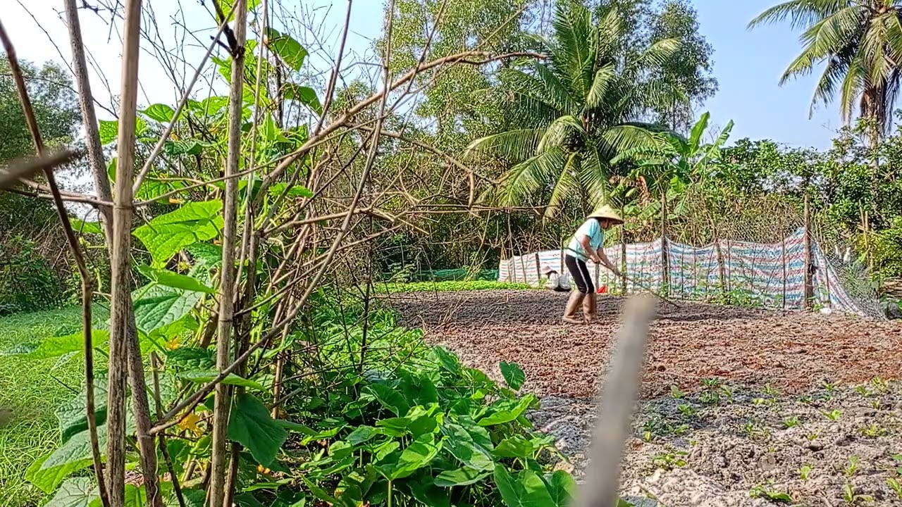 Cooking with Me: Easy Recipes for Everyday Meals