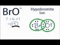BrO- Lewis Structure Concepts