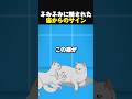 猫なりの愛情表現