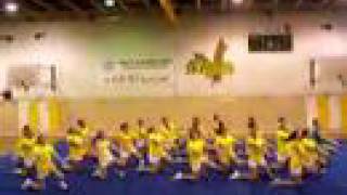 FSC Cheerleading 2007