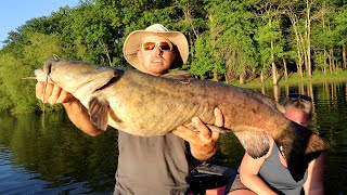 JUG Fishing with BLUEGILL as BAIT {Catch Clean Flathead}