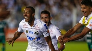 Santos Vence O Palmeiras, Entra No G3 E Interrompe Sequência Invicta Do Verdão