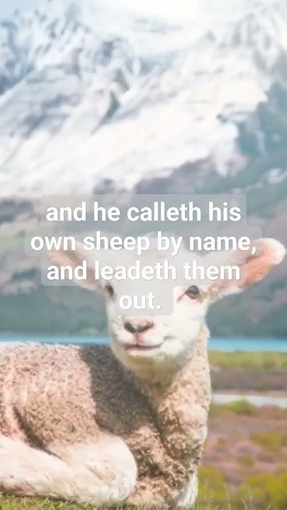 biblereflection-dailydevotion-john-10-1-5-bible-bibleverse