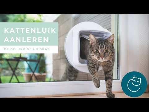 Video: Hoe U Uw Kat Traint Om Een kattenluik Te Gebruiken