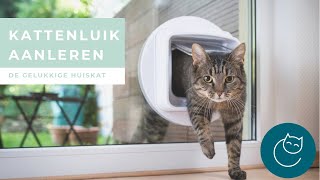 JE KAT LEREN OM DOOR HET KATTENLUIK TE GAAN  De gelukkige huiskat kattengedrag