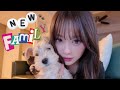 【ご報告】新しい家族が増えました🐶