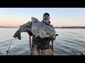 TOP 5 BIGGEST BLUE CATFISH CAUGHT ON YOUTUBE (compilation)