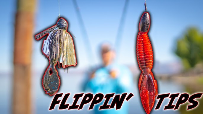 What Bass Fishing Hook to Use? Flipping Hook vs. EWG Hook 