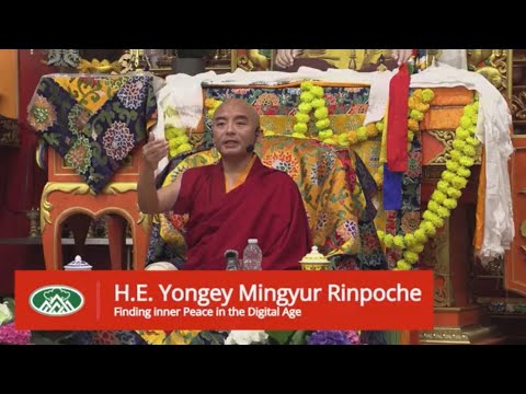 ཡོངས་དགེ་མི་འགྱུར་རྡོ་རྗེ་རིན་པོ་ཆེའི་གསུང་གསར་པ།
