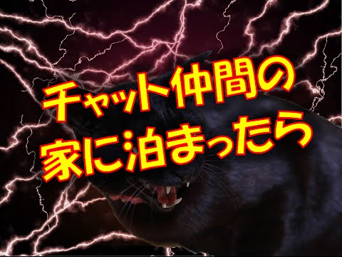 【恐怖 修羅場】チャット仲間（女）の家に泊りに行った結果…