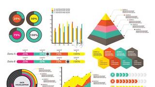 Celebrity Data Visualization and Mapping Profile