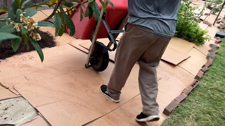 Backyard Idea Convert Grass Lawn By Sheet Mulching