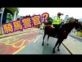 【ドラレコ】騎馬警官にとめられる？！交通マナー守らない人はバチが当たる？！【衝撃映像】 Karma【Road Accident】