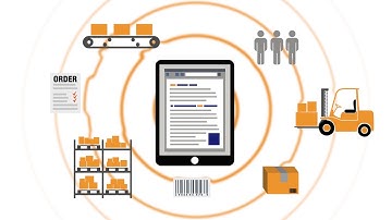 Warehouse Automation Software — Intelligrated Momentum™ Warehouse Execution System
