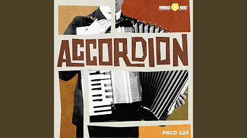 Ligabue Al Mat (Accordion Solo)