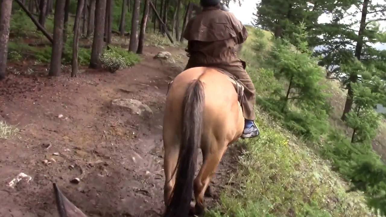 🐎 Horse Riding at Jasper National Park