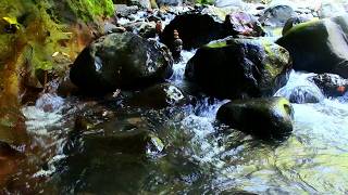 Feeling Anxious Before Bed 🕊️ This Calming River Sound Brings Inner Peace And Calm Sleep