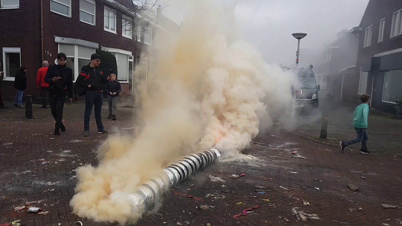 KAS-SUIKER Rookbom van bijna 2,50 meter en 31 kg