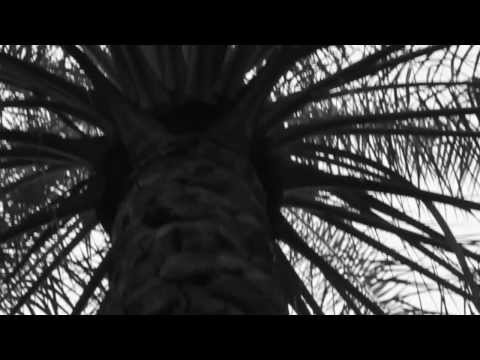       فيلم النخلة في حياتنا