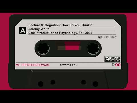 8. Cognition: How Do You Think? (audio only) thumbnail