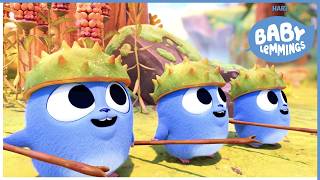 Playing with Mini Lemmings | Baby Lemmings | Clip Compilation