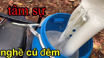 kênh cạo mủ cao su hay nhất--tâm sự nghề cú đêm