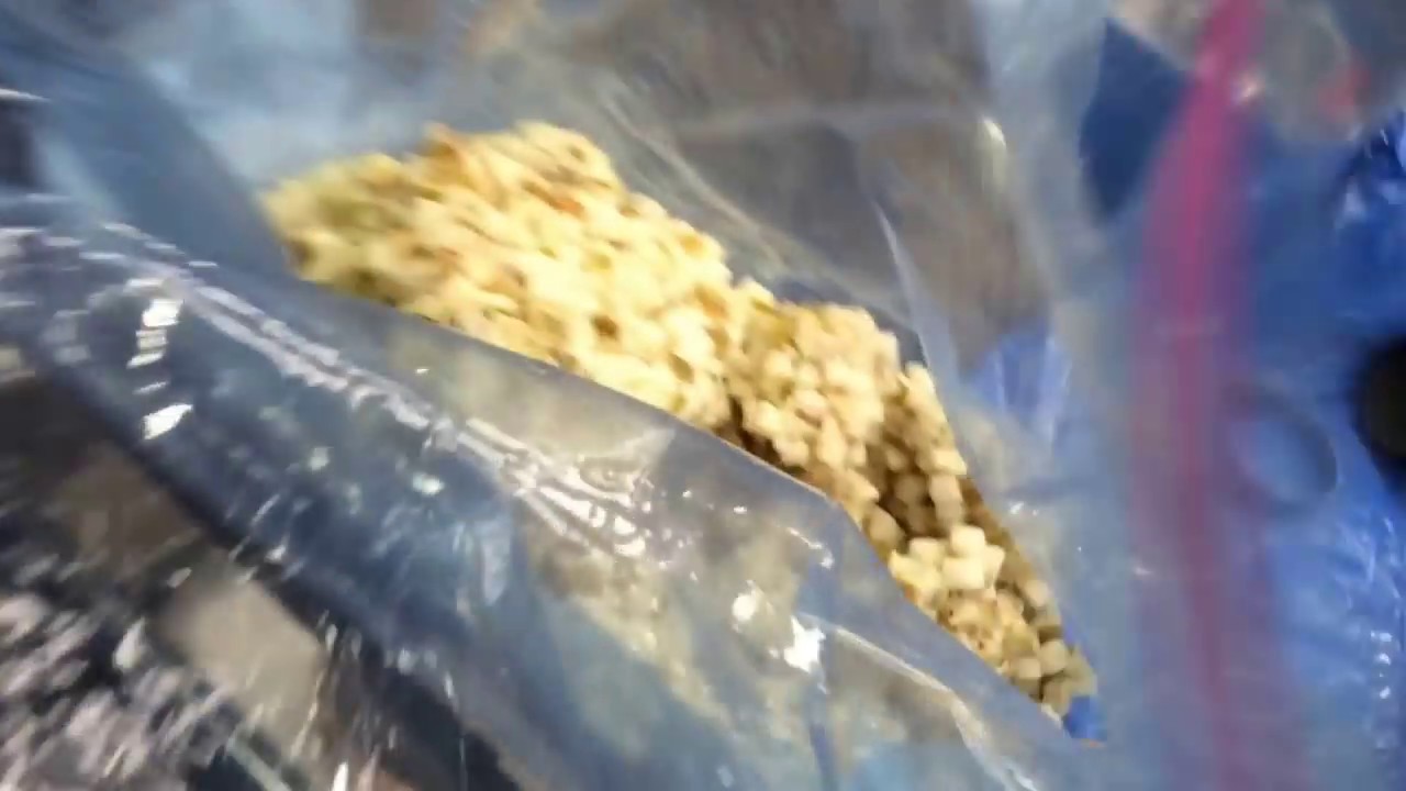 Corenco Diced Frozen Mango and Pear Test