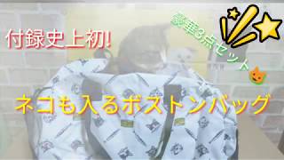 【付録史上初】な、なんと猫も入るボストンバッグ