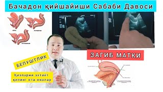 Qin va analdagi obektlar