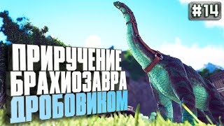 Приручение брахиозавра #14 Additional Creatures 2 карта Олимпус