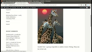 Wordpress Automatic Plugin how to post from pinterest to wordpress